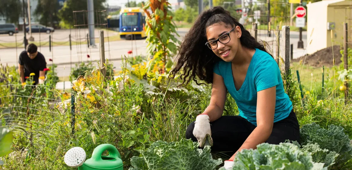 The Evolving Landscape of Recreation: How Modern Life Is Transforming the Way We Play