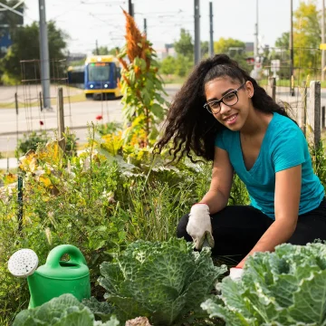 mn_towerside_09152017_02 (1) The Evolving Landscape of Recreation: How Modern Life Is Transforming the Way We Play